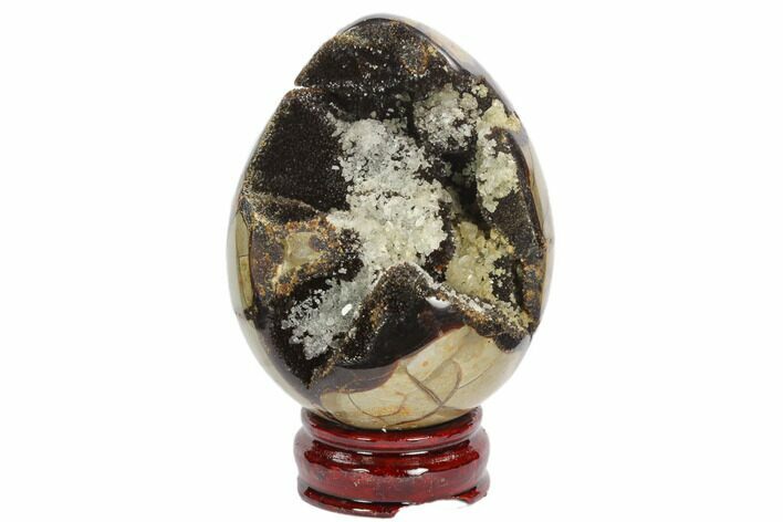 Septarian Dragon Egg Geode - Black Crystals #123044